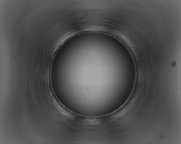 X0000093591041200710221519