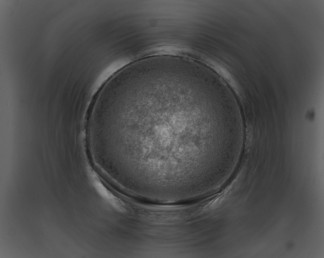 X0000093591042200710221519