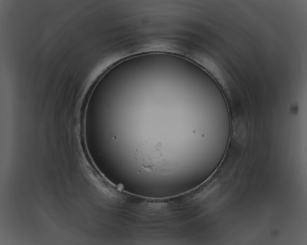 X0000093591043200710221519