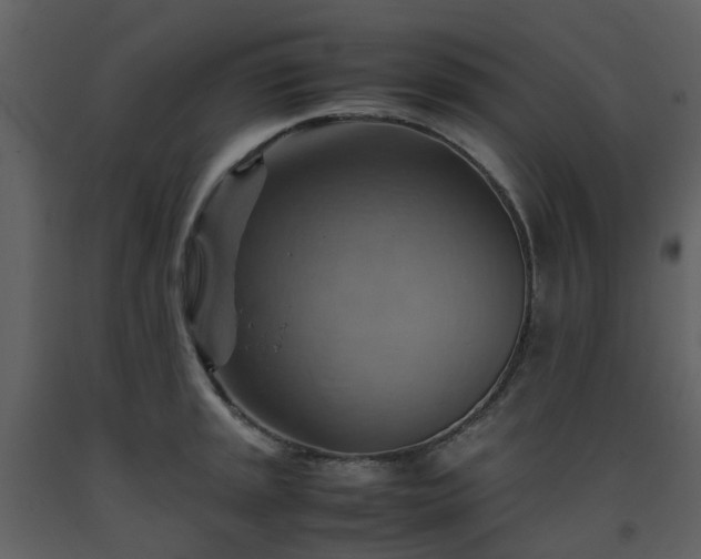 X0000093591045200710221519