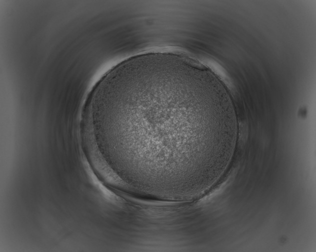 X0000093591046200710221519