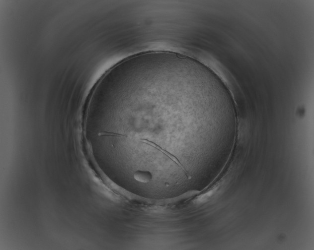 X0000093591048200710221519