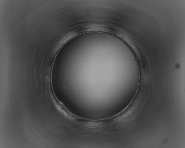 X0000093591049200710221519