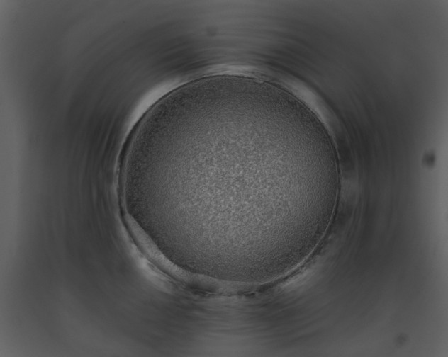 X0000093591050200710221519