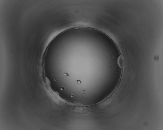 X0000093591056200710221519