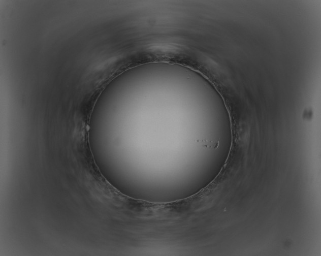 X0000093591061200710221519
