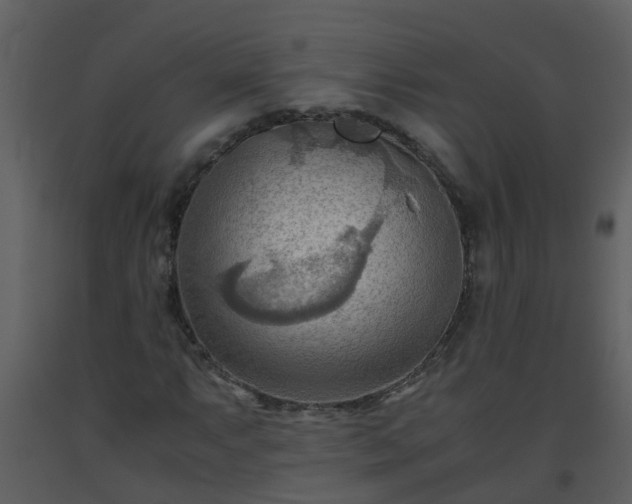 X0000093591063200710221519