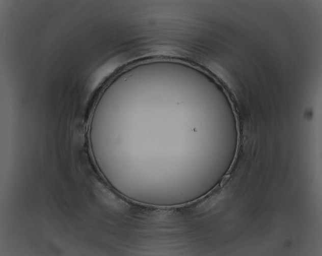 X0000093591067200710221519