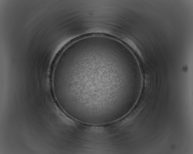 X0000093591068200710221519