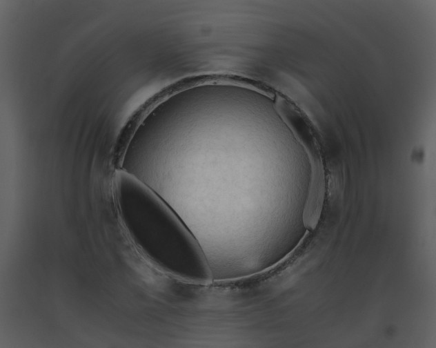 X0000093591069200710221519