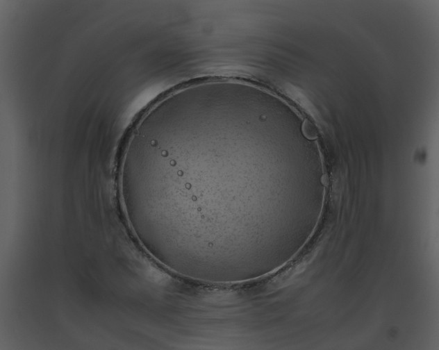 X0000093591071200710221519