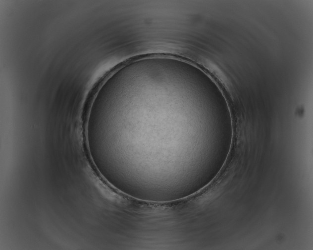 X0000093591072200710221519