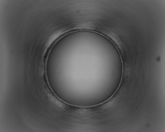 X0000093591075200710221519