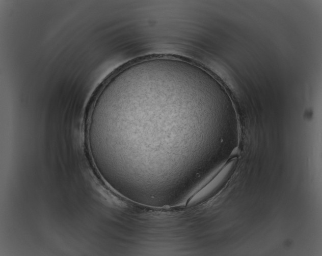X0000093591076200710221519