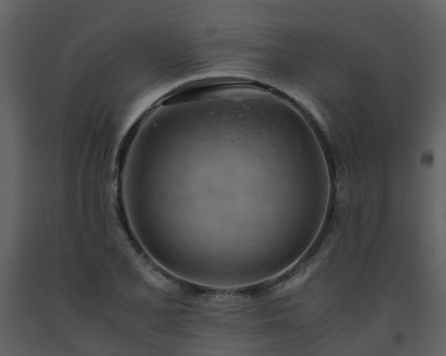 X0000093591077200710221518