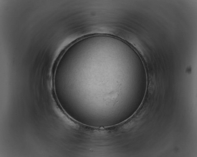 X0000093591080200710221518