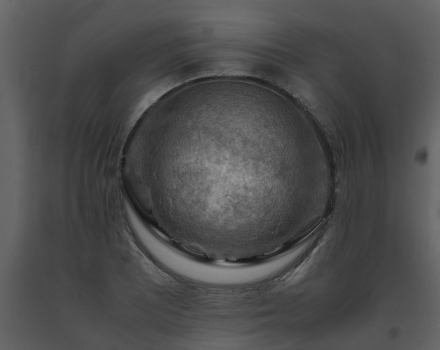 X0000093591081200710221518