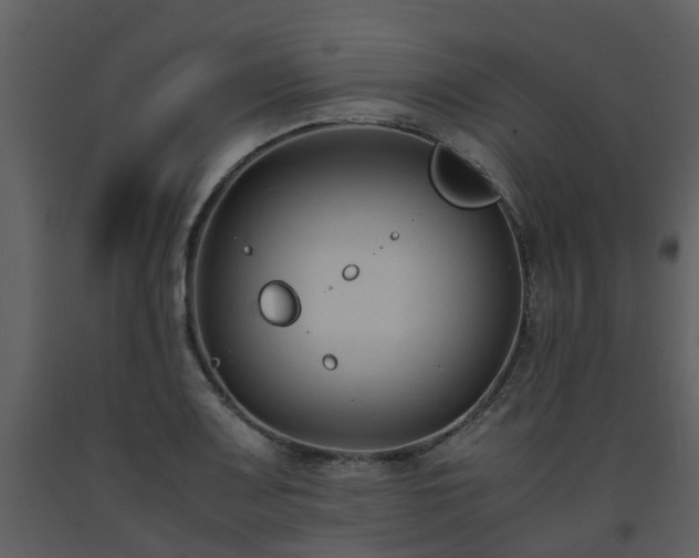 X0000093591083200710221518