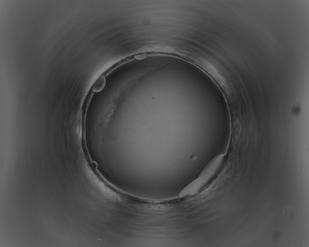 X0000093591084200710221518