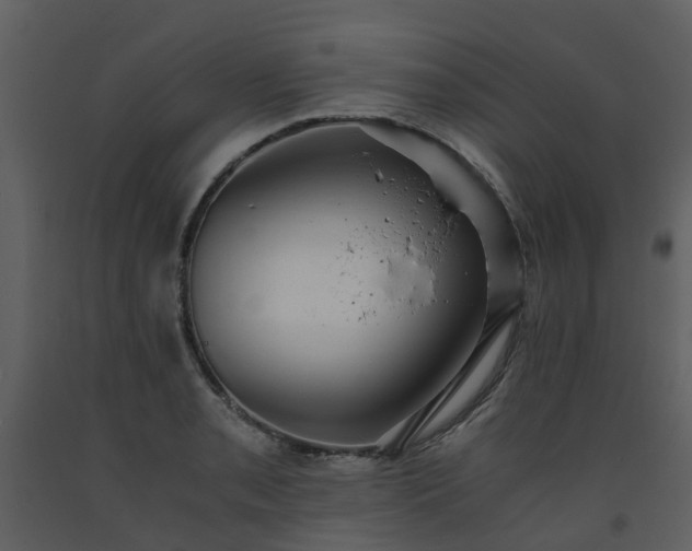 X0000093591085200710221518