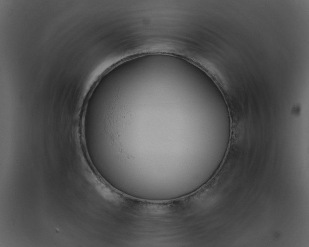 X0000093591086200710221518