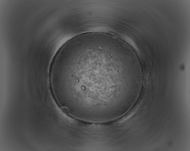 X0000093591087200710221518
