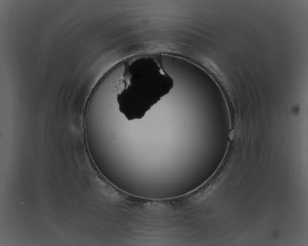 X0000093591089200710221518