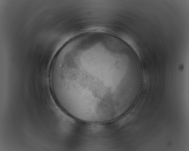 X0000093591090200710221518