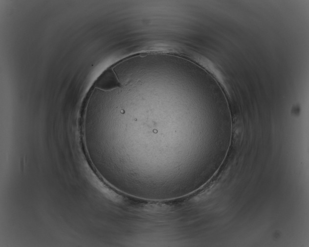 X0000093591091200710221518