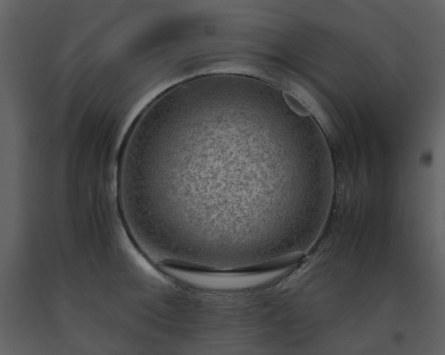 X0000093591092200710221518