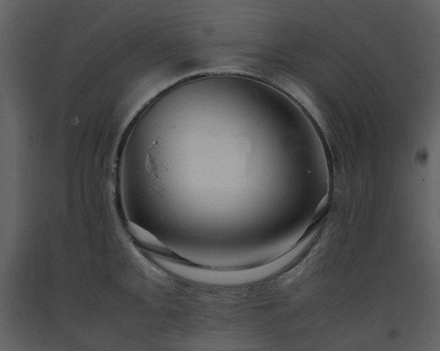 X0000093591093200710221518