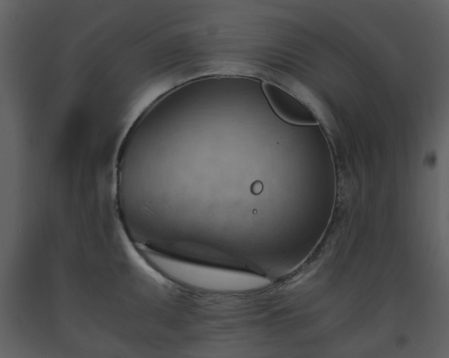 X0000093591095200710221518