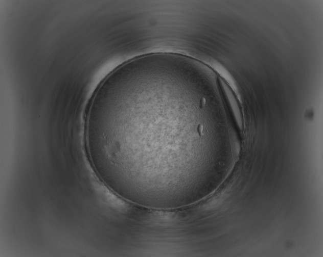 X0000093591096200710221518