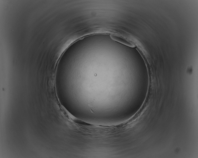 X0000093591097200710221518