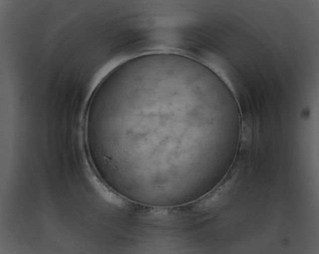 X0000093591098200710221518