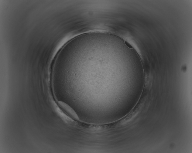 X0000093591099200710221518