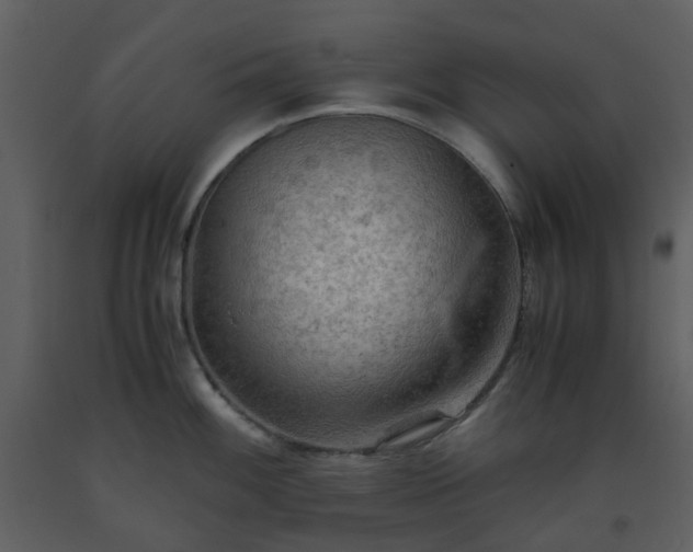 X0000093591100200710221518