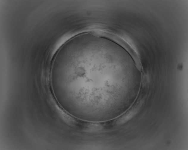 X0000093591101200710221518