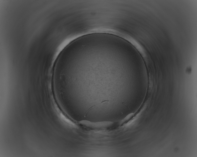 X0000093591102200710221518