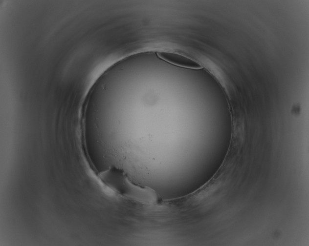 X0000093591103200710221518