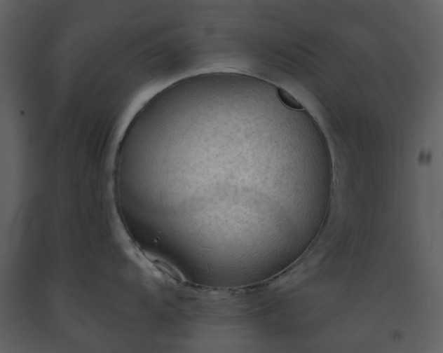 X0000093591104200710221518
