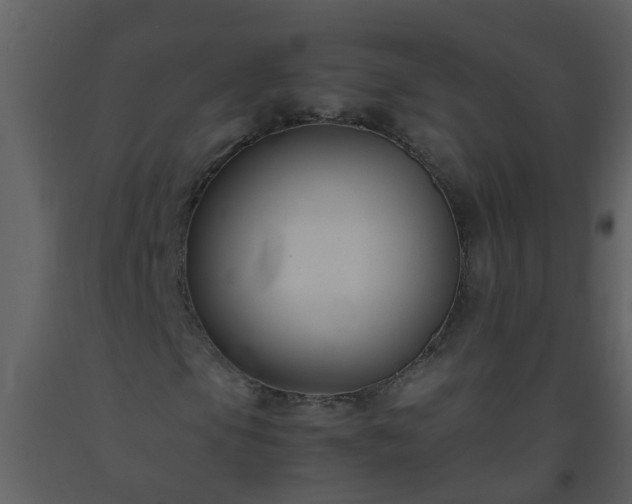 X0000093591105200710221518