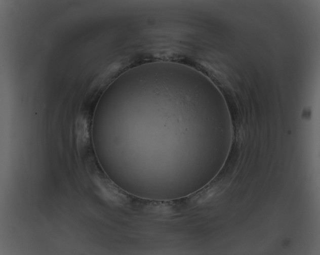 X0000093591106200710221518