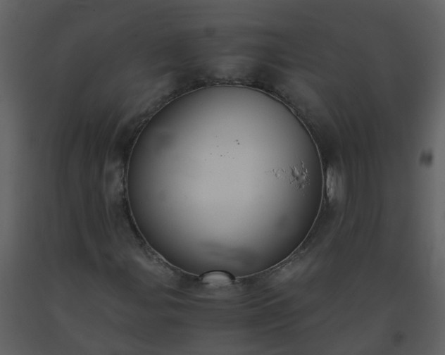 X0000093591107200710221518