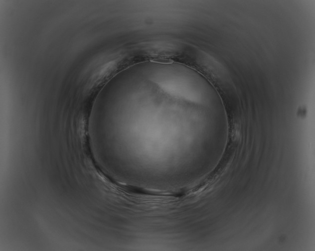 X0000093591108200710221518