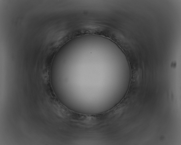 X0000093591109200710221518