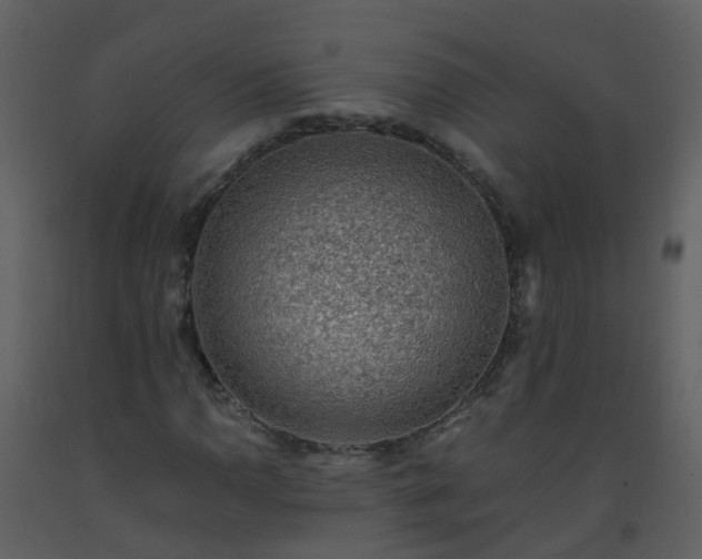 X0000093591110200710221518