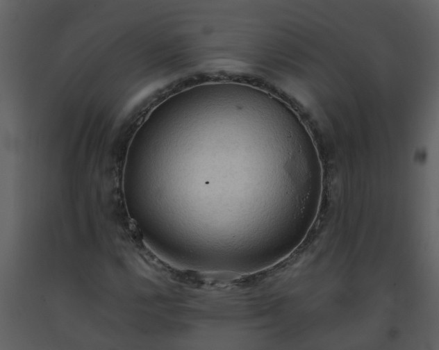 X0000093591112200710221518