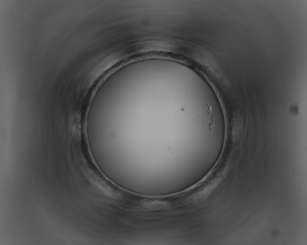 X0000093591113200710221518