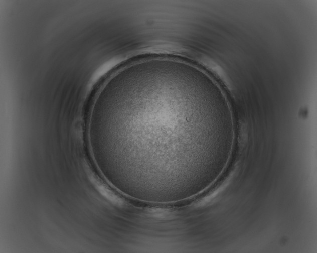X0000093591114200710221518